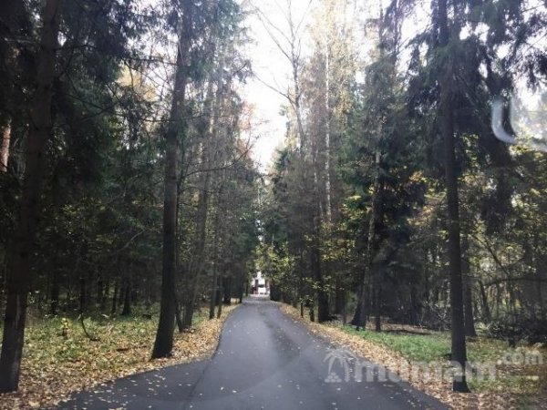 Продам участок 10 сот. , земли поселений (ИЖС) , Киевское шоссе , 12 км до города