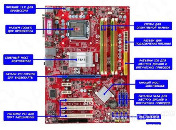 S775 MSI p43 NEO supp. xeon socket 771