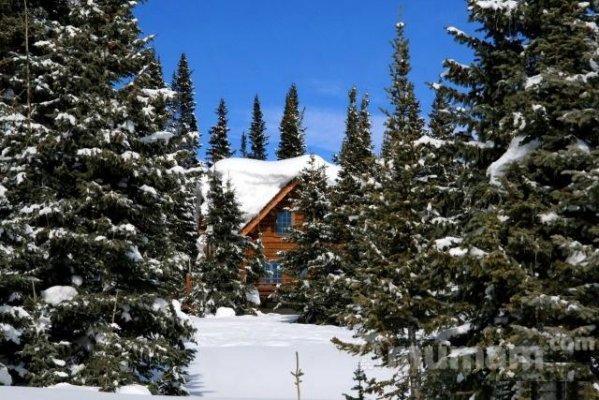 Сдам  коттедж  посуточно     
2-этажный коттедж 300 м²  ( брус )  на участке 20 сот.  , Новорижское шоссе  , 16 км до города
