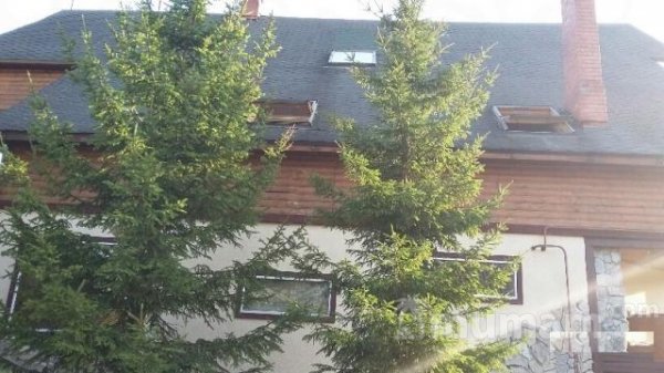 Сдам  коттедж  посуточно     
2-этажный коттедж 300 м²  ( брус )  на участке 20 сот.  , Новорижское шоссе  , 16 км до города