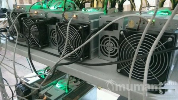 Размещение майнеров Asic, GPU ферм, дата центр