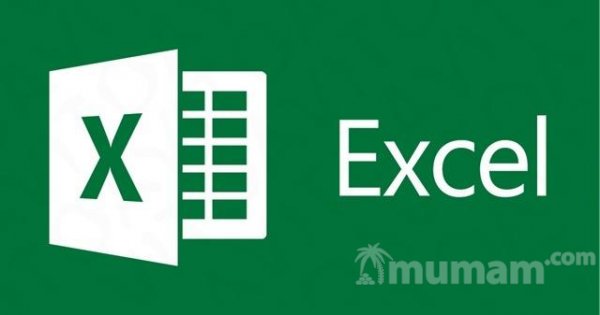 Обучение Excel и Word