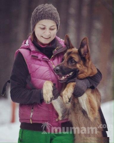 Кинолог. Дрессировка собак