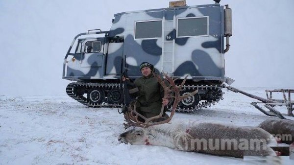 Трофейная охота и рыбалка в Заполярье