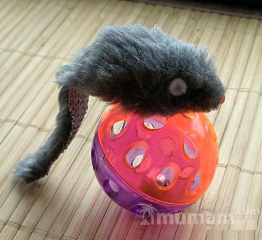 Подарки для кота - пара игрушек