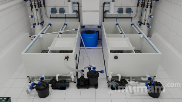Передержка узв аквариум для морепродуктов