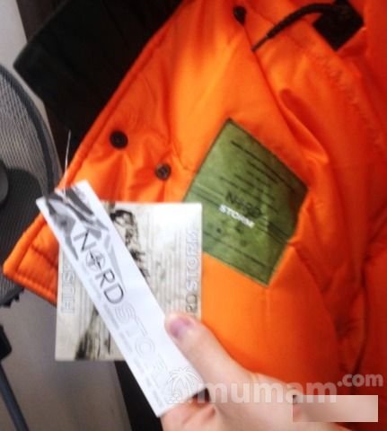 Куртка аляска Alpha Industries N-3B Parka Sage Gre