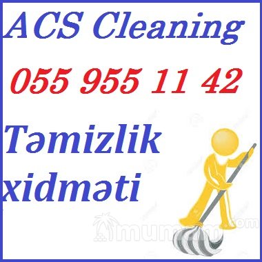 Evlerin temizlenmesi