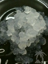 Морской Индийский рис