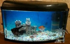Аквариум Pearl 60л Панорама