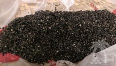 Грунт для аквариума
