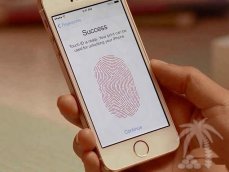 Новые iPhone 5S с гарантией. Магазин, доставка
