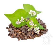 Куплю гречиху