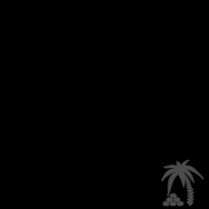 Hovuz qolbaqları 055 214 63 45