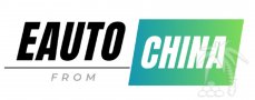 Автомобили из Китая на заказ с доставкой в Россию